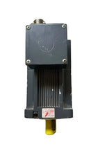 Selema SMS T-1-M2-030-00-02-43 Brushless Servo Motor 0.54kW 3000 RPM 180V